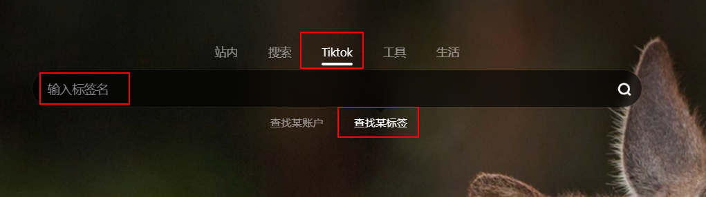 快速搜索Tiktok-某标签