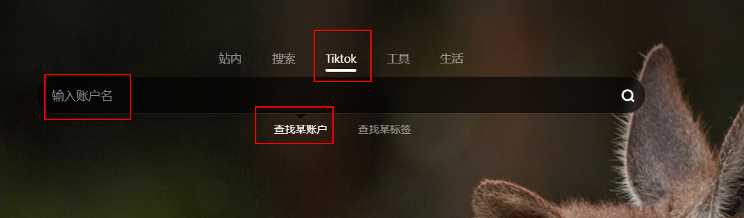 快速搜索Tiktok-某账户